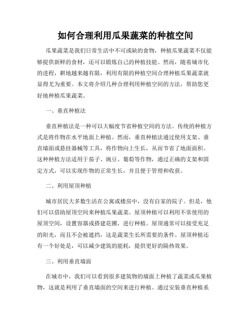 如何合理利用瓜果蔬菜的种植空间