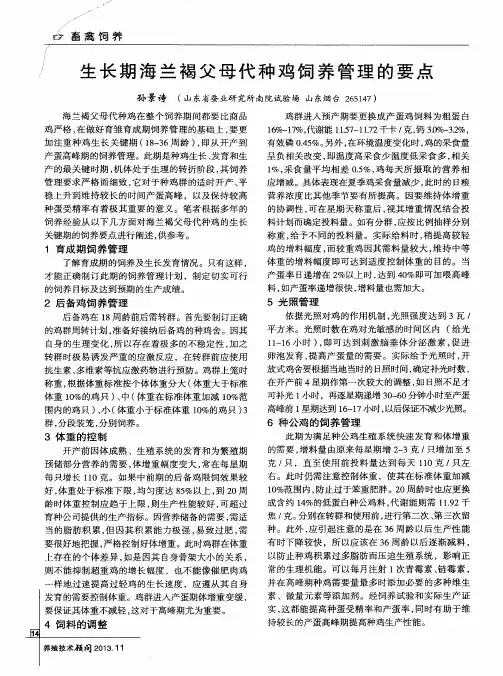 生长期海兰褐父母代种鸡饲养管理的要点