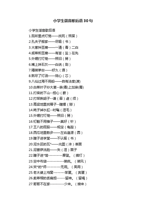 小学生谐音歇后语30句