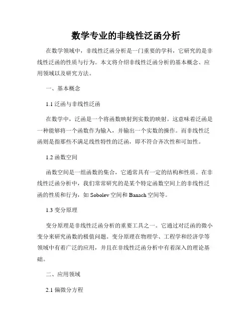 数学专业的非线性泛函分析