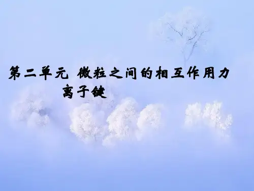 离子键PPT精品课件_1