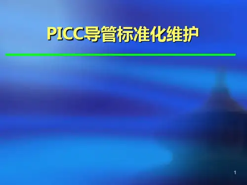 PICC标准维护ppt课件