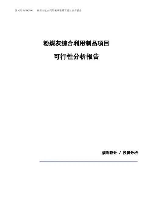 粉煤灰综合利用制品项目可行性分析报告(模板参考范文)