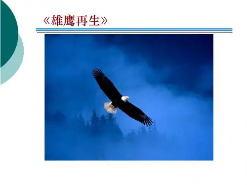 十二章组织变革
