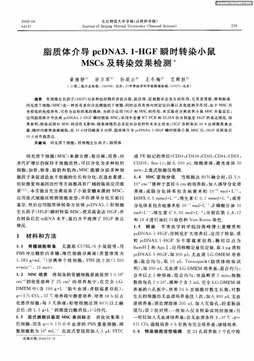 脂质体介导pcDNA3.1-HGF瞬时转染小鼠MSCs及转染效果检测