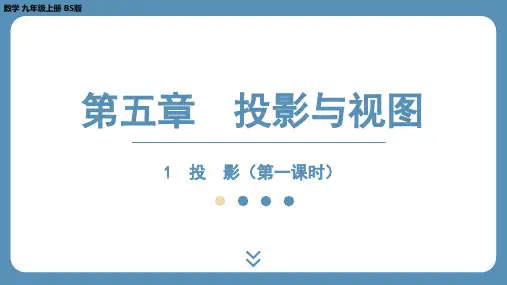 5.1 投 影(第一课时)课件北师大版九年级数学上册