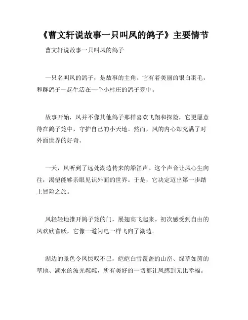 《曹文轩说故事一只叫凤的鸽子》主要情节