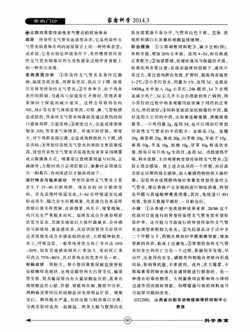 近期鸡肾型传染性支气管炎的防治体会