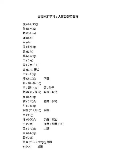 日语词汇学习:人体各部位名称