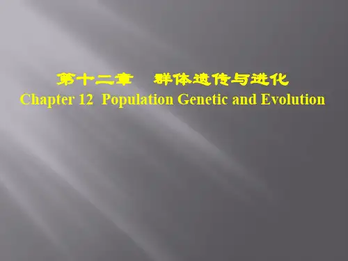 群体遗传学-78页精品文档