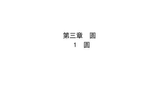 2020年  九年级数学下册课件 北师大版 考点精讲 (2)
