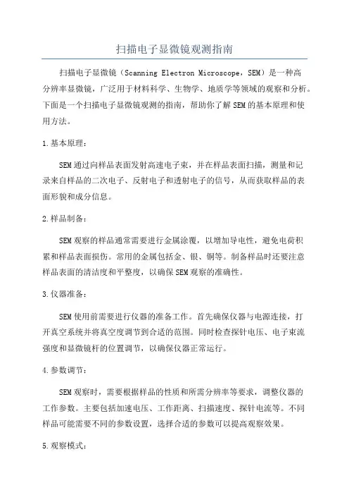 扫描电子显微镜观测指南