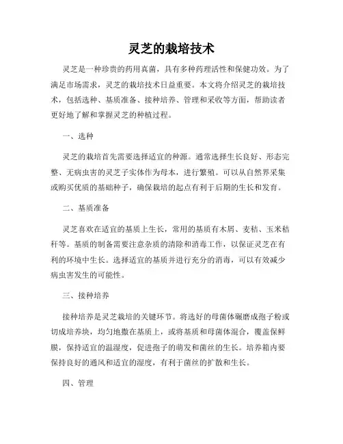 灵芝的栽培技术