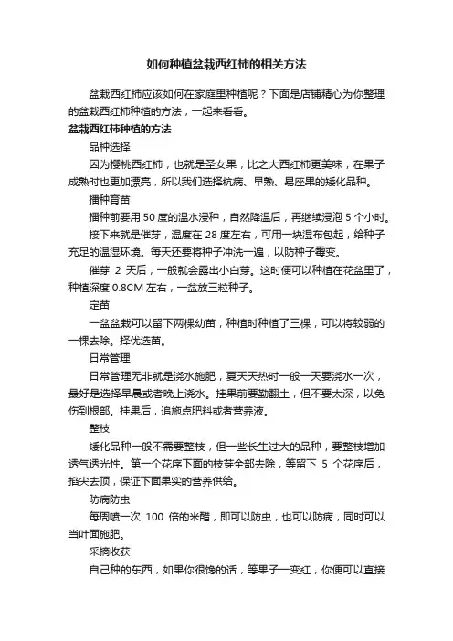 如何种植盆栽西红柿的相关方法