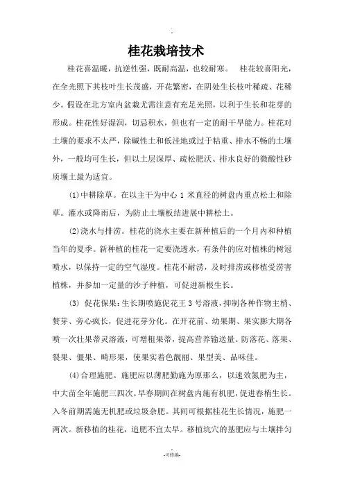 桂花树栽培技术