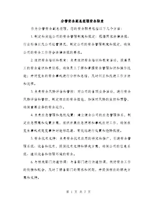分管安全副总经理安全职责（3篇）