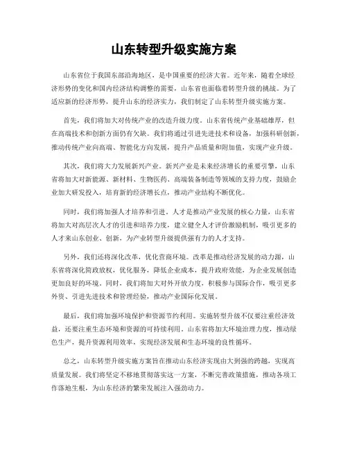 山东转型升级实施方案