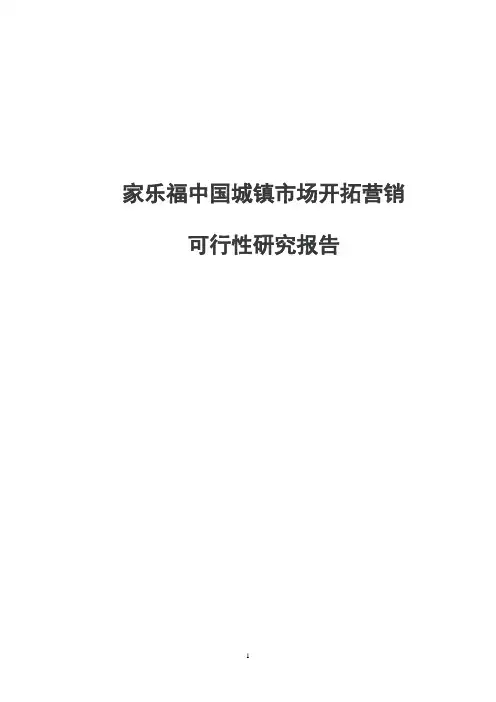 家乐福战略规划研究