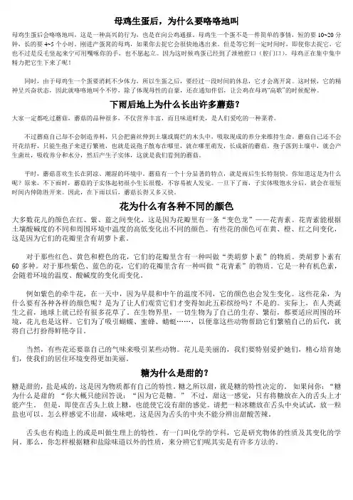 母鸡生蛋后 2