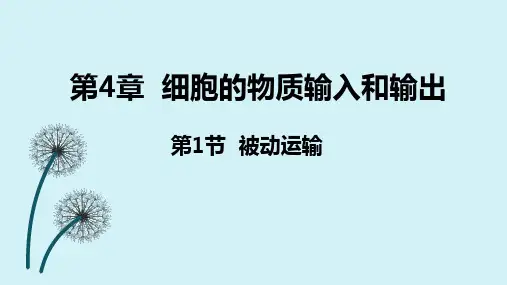 4-1被动运输课件 高一上学期生物人教版(2019)必修1