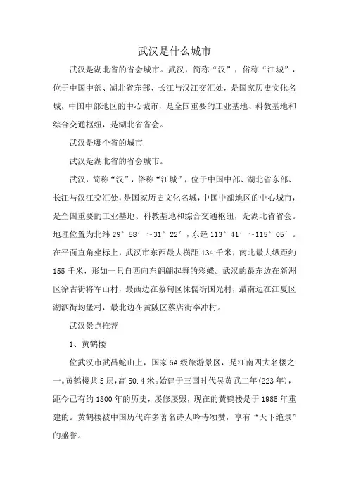 武汉是什么城市