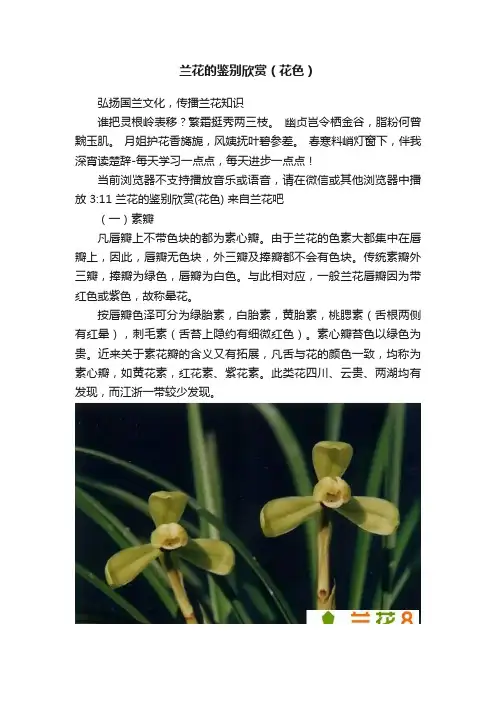 兰花的鉴别欣赏（花色）