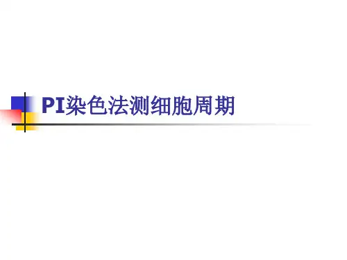 PI染色法测细胞周期