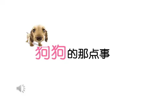 狗狗种类大全 ppt课件