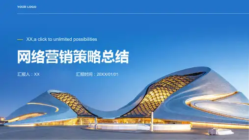 网络营销策略总结PPT