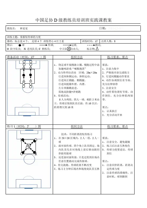 中国足协D级训练实践教案
