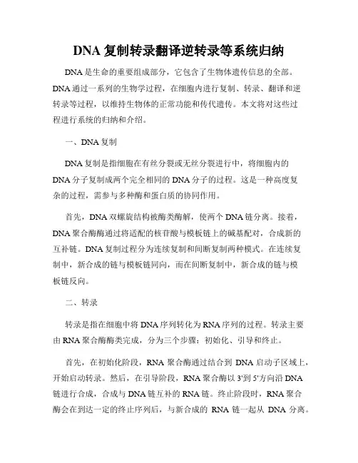 DNA复制转录翻译逆转录等系统归纳