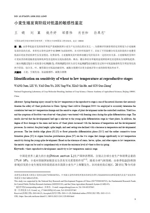 小麦生殖发育阶段对低温的敏感性鉴定