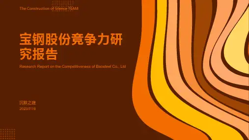 2023年宝钢股份竞争力研究汇报