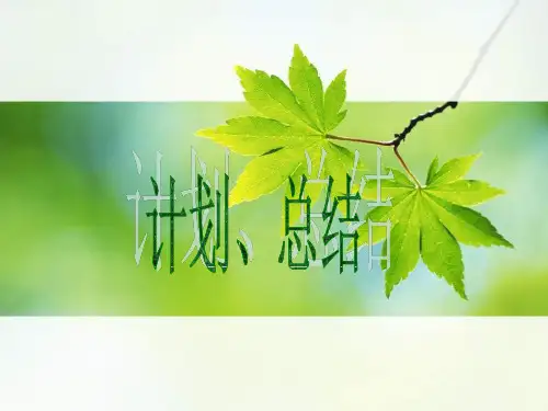 事务文书(一)计划 总结PPT课件