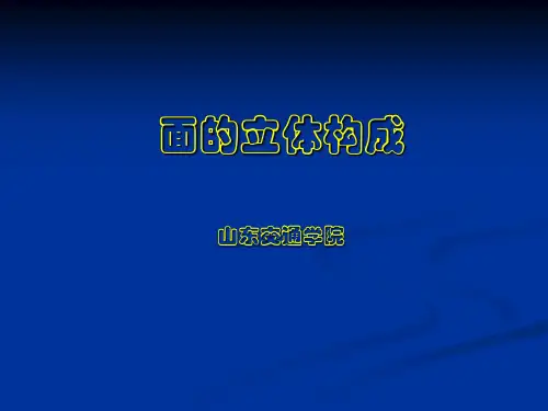 (完整版)立体构成——面