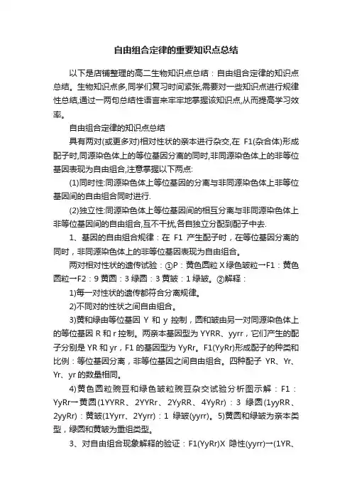 自由组合定律的重要知识点总结