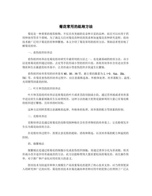 菊花常用的组培方法