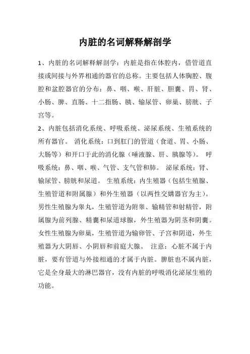 内脏的名词解释解剖学
