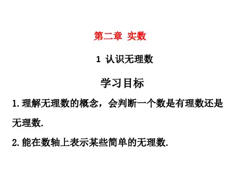 北师大版数学八年级上册课件-第二章实数