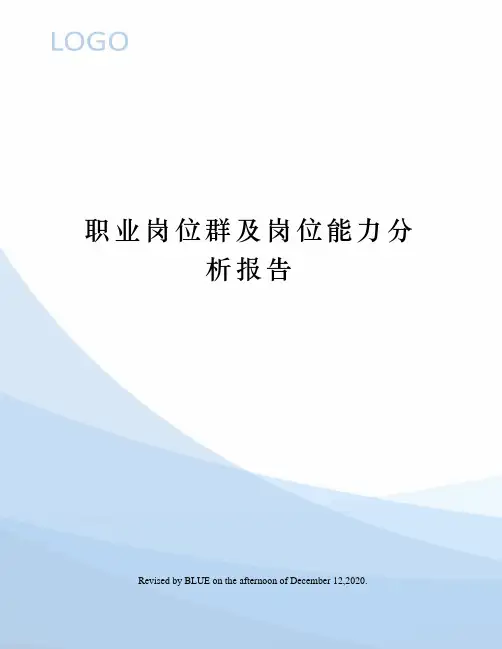 职业岗位群及岗位能力分析报告