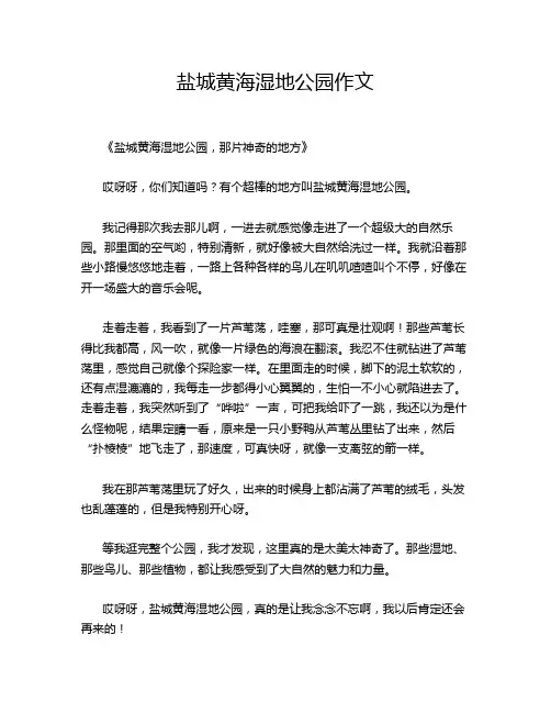 盐城黄海湿地公园作文