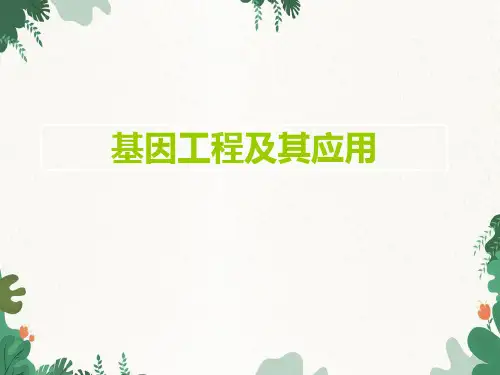 人教版高中生物必修二：6-2 基因工程及其应用优质课件