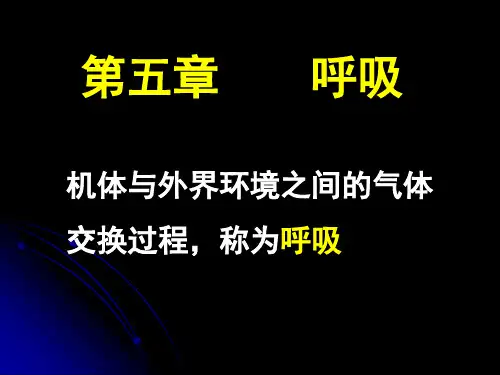 生理学 第五章呼吸