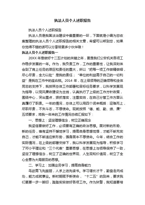 执法人员个人述职报告