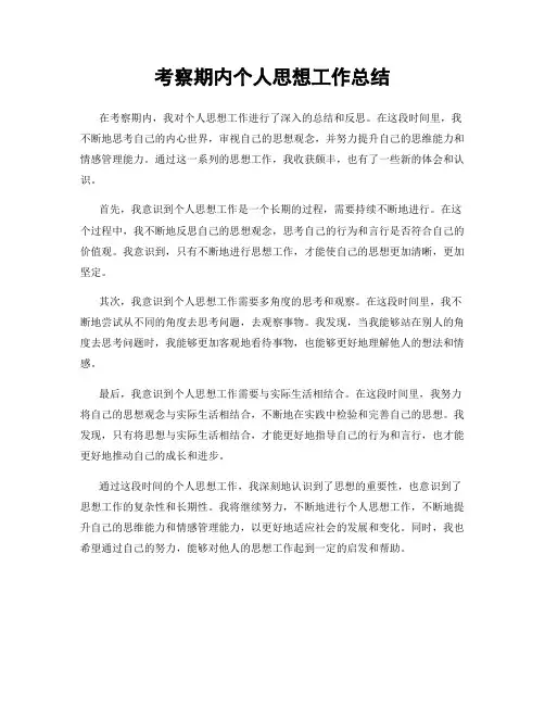 考察期内个人思想工作总结