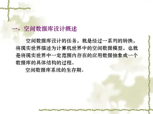空间数据库系统设计共40页文档