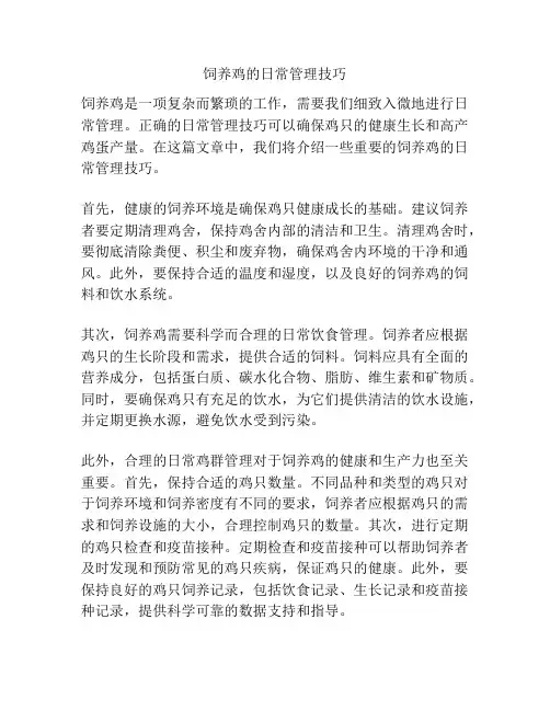饲养鸡的日常管理技巧