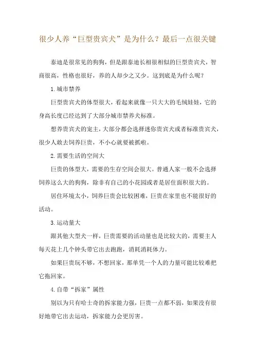 很少人养“巨型贵宾犬”是为什么？最后一点很关键