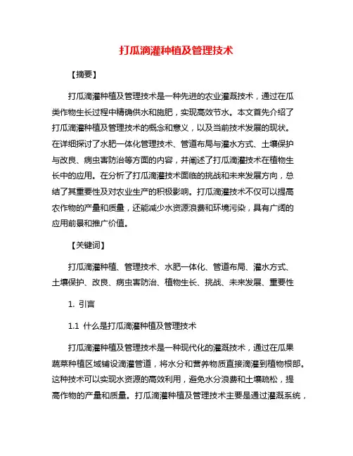 打瓜滴灌种植及管理技术