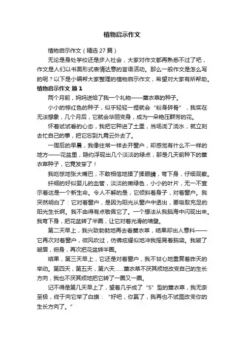 植物启示作文（精选27篇）